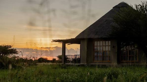 Golden Acacia Safari Lodge