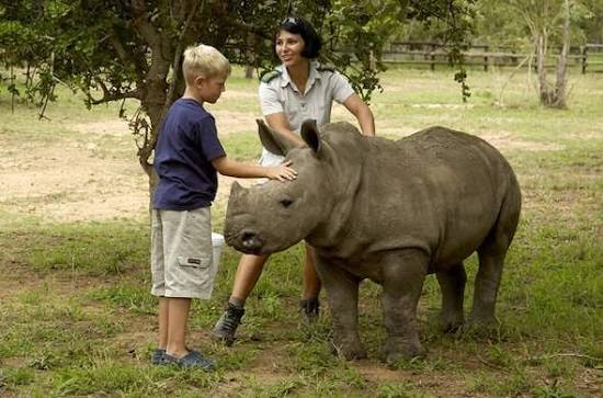 Limpopo Conservation Centre