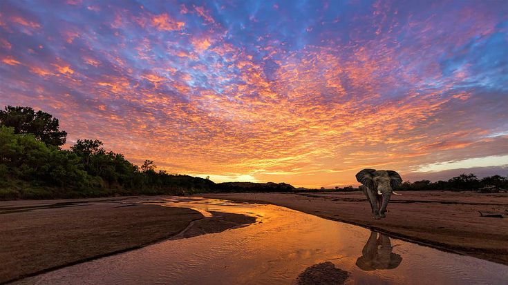 Limpopo River Sunset Drive