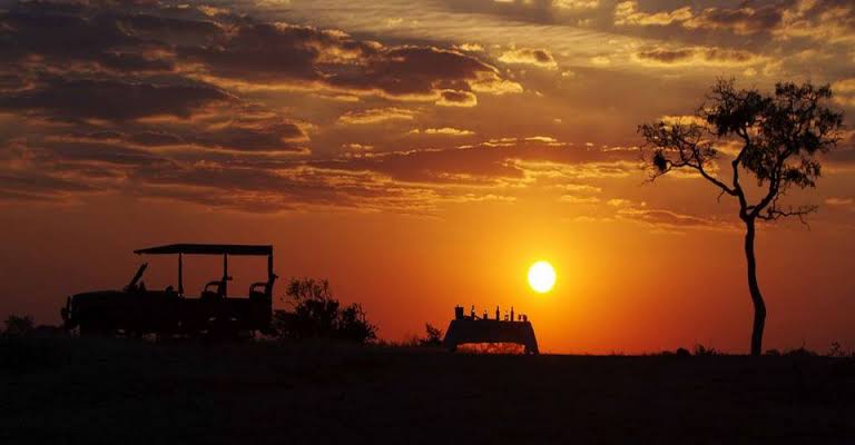 Lowveld Sunrise Game Drive