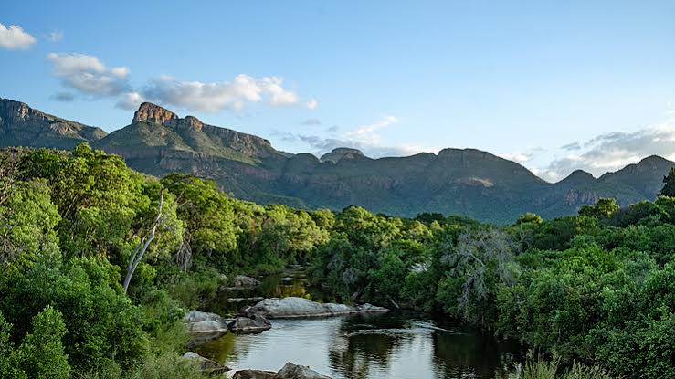 Kruger North
