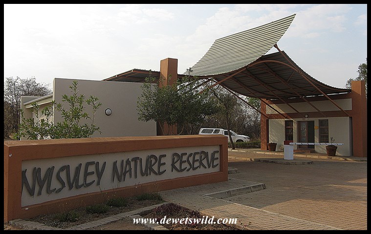 Nylsvley Bushveld Retreat